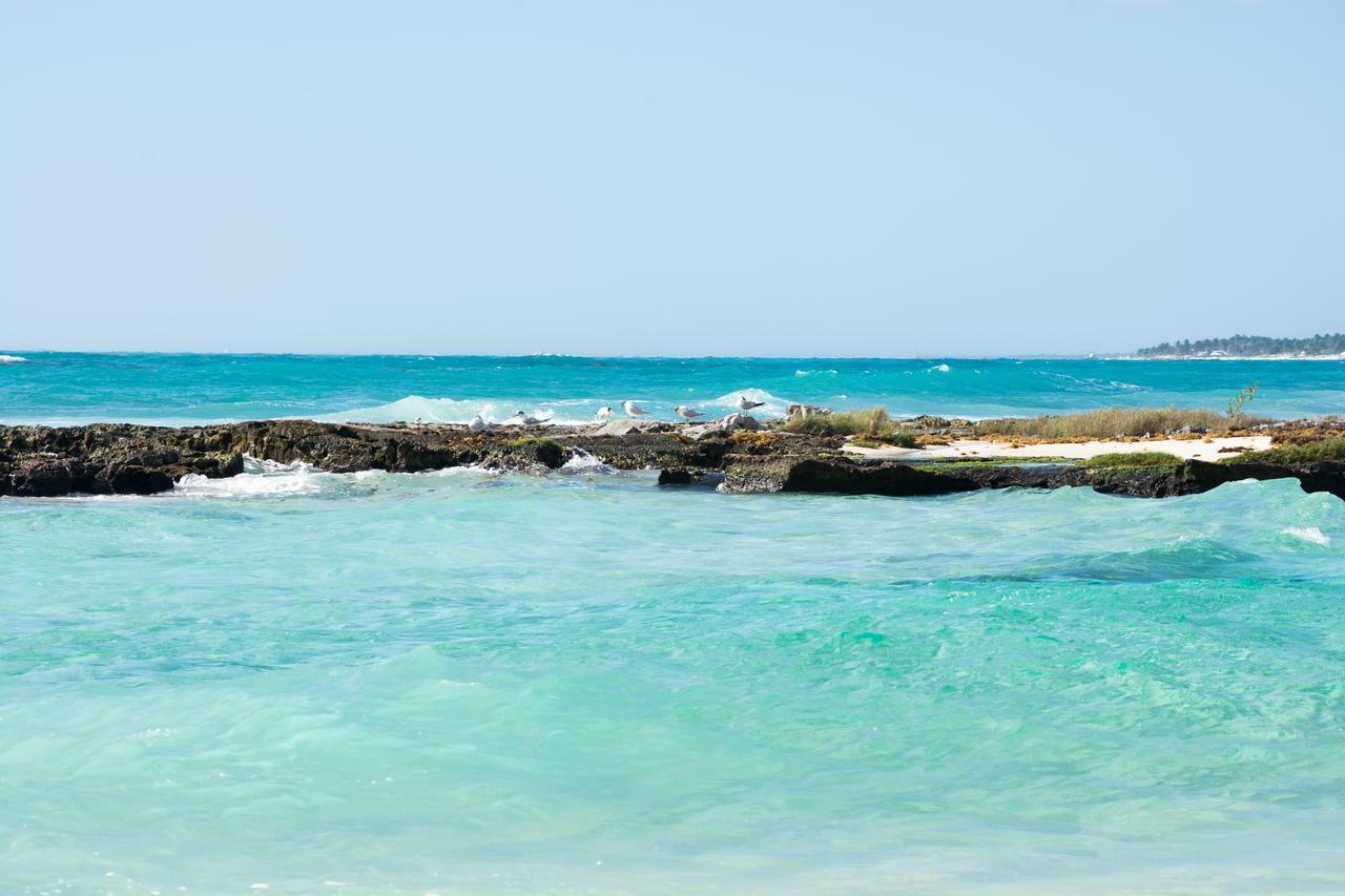 Caleta Tankah Hotel Tulum Exterior photo